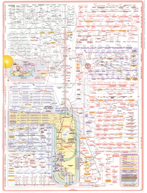 Screen Shot 2017-04-21 at 12.01.37 AM