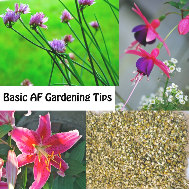 basic gardening1