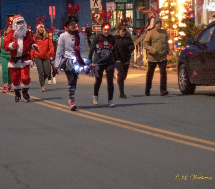 reindeer run3