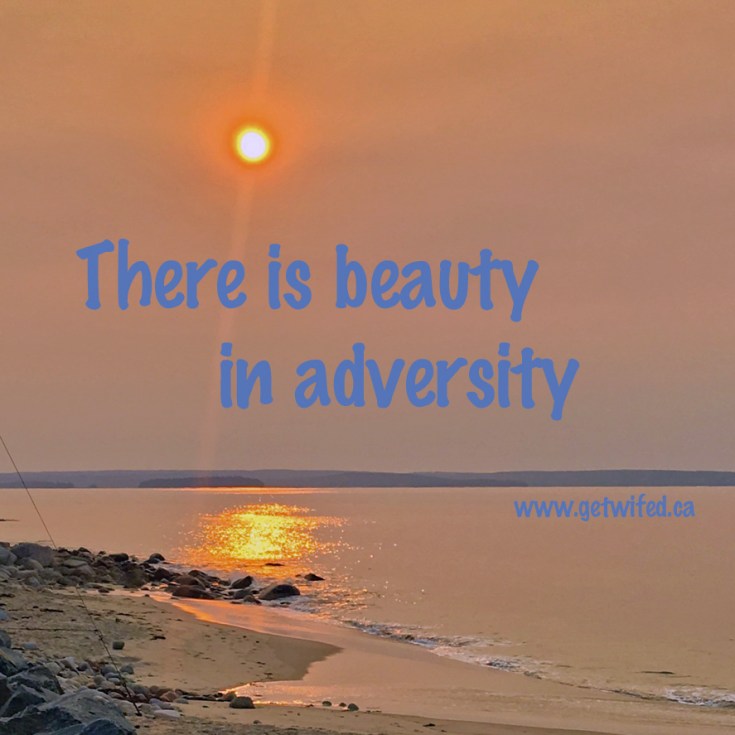 beautyinadversity.jpg